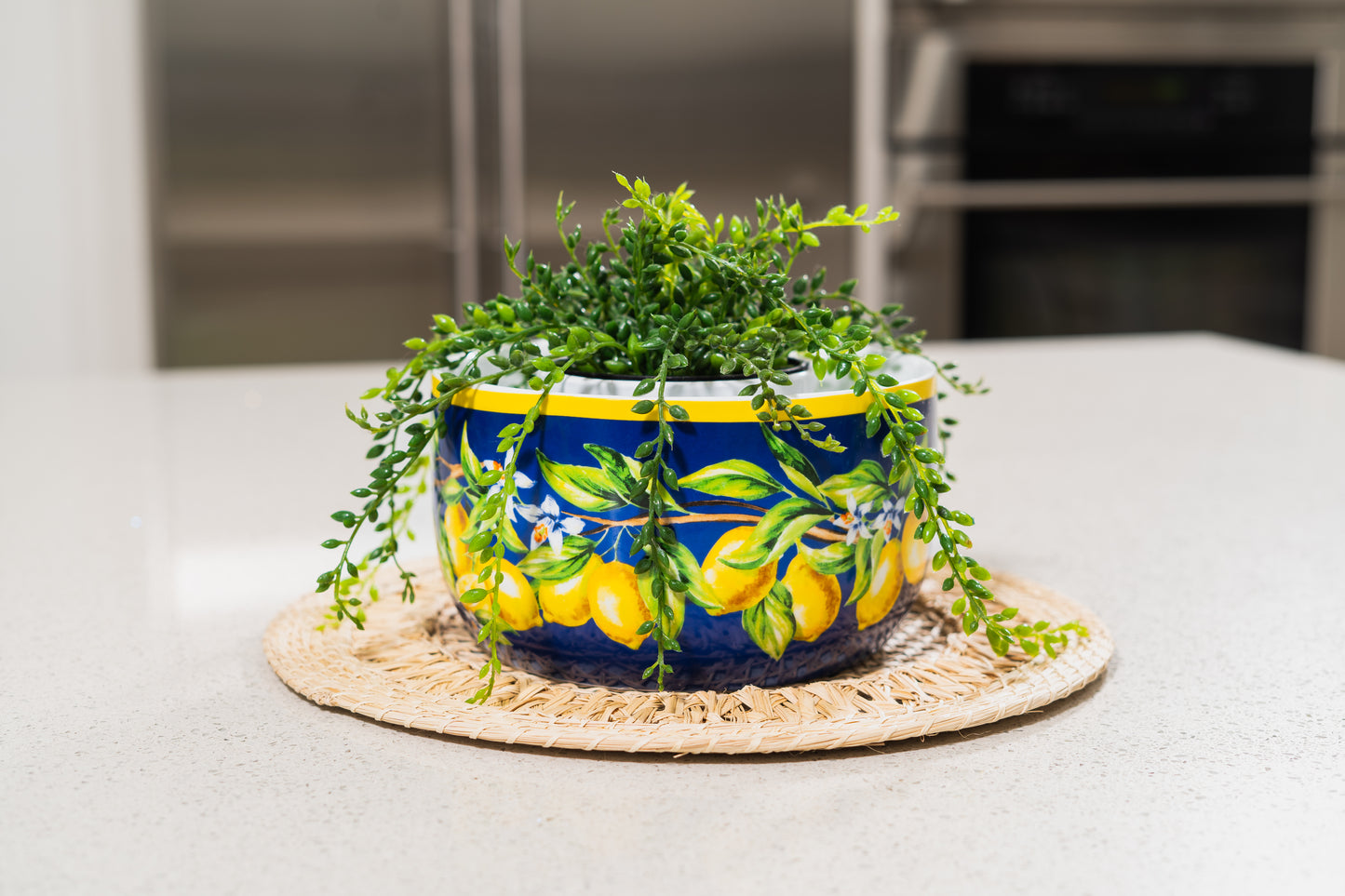 Fique Palm Round Placemats