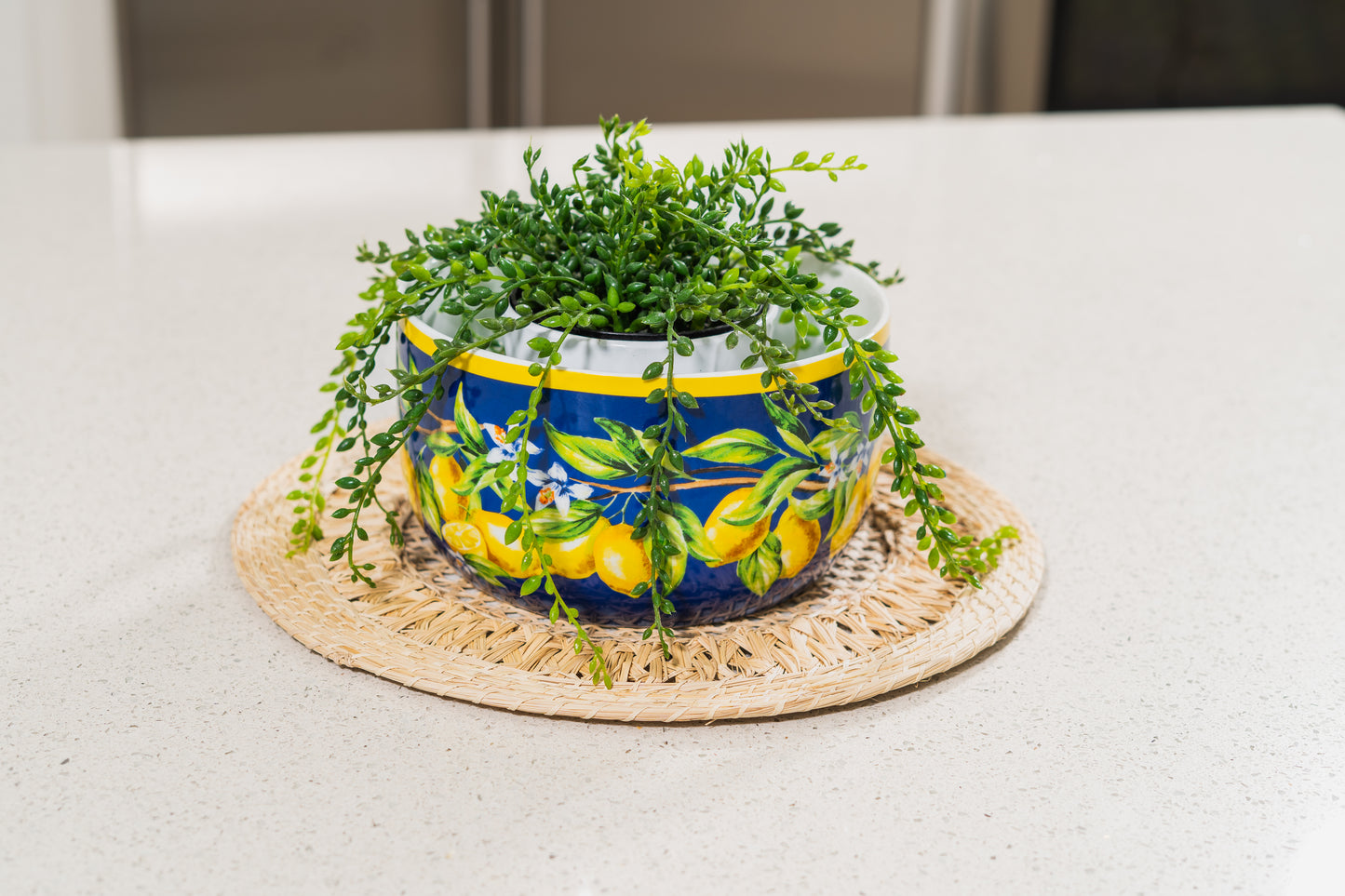 Fique Palm Round Placemats